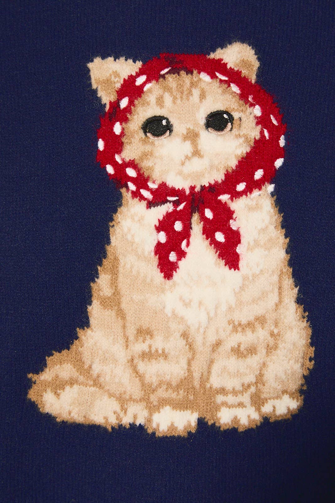 Cutie Cat Sweater