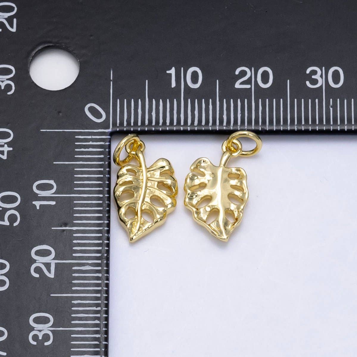 Monstera Palm Leaf Charm
