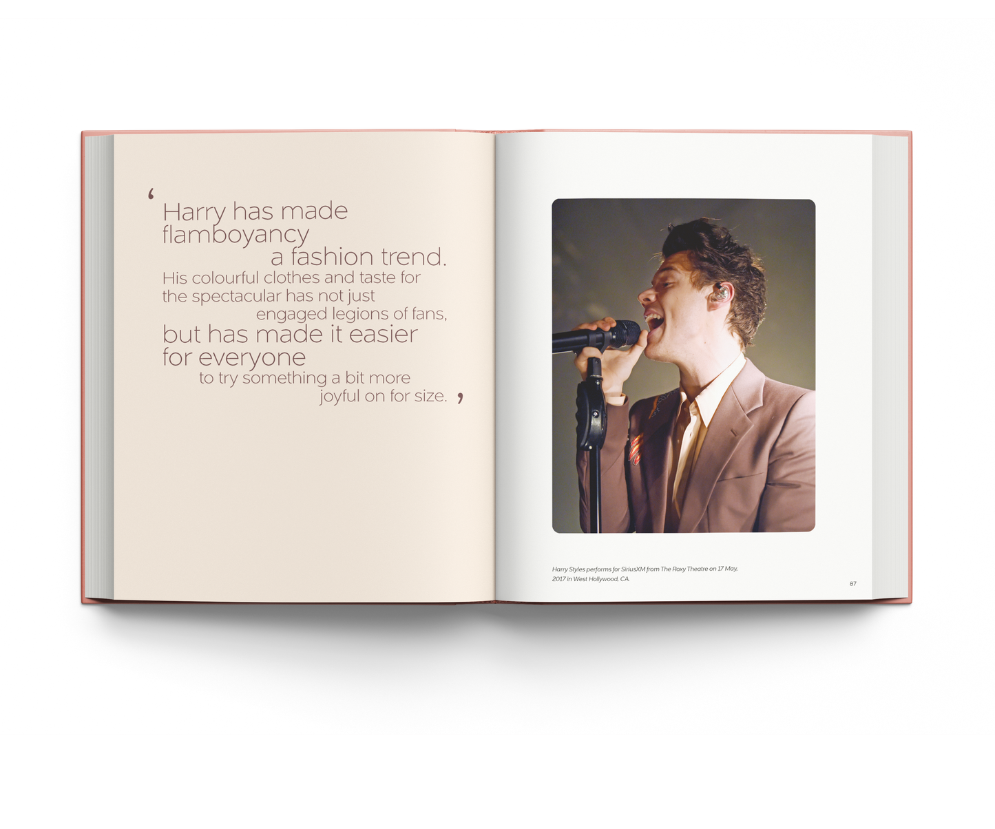 Harry Styles by Terry Newman
