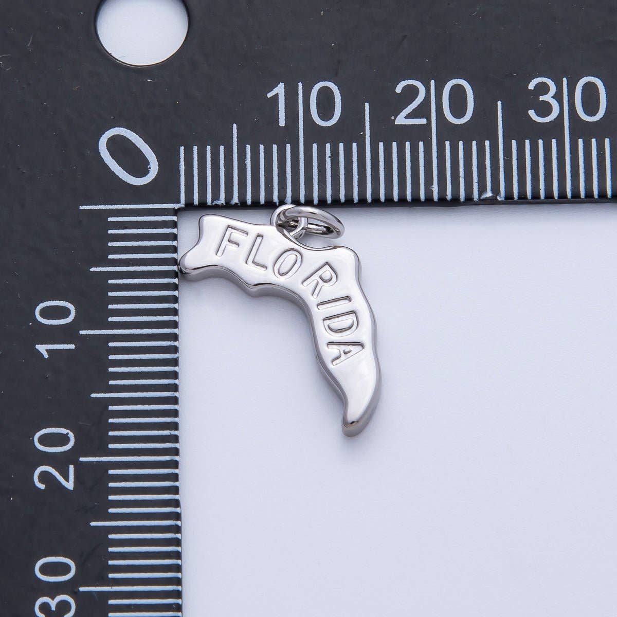 United States of America State Map Charms