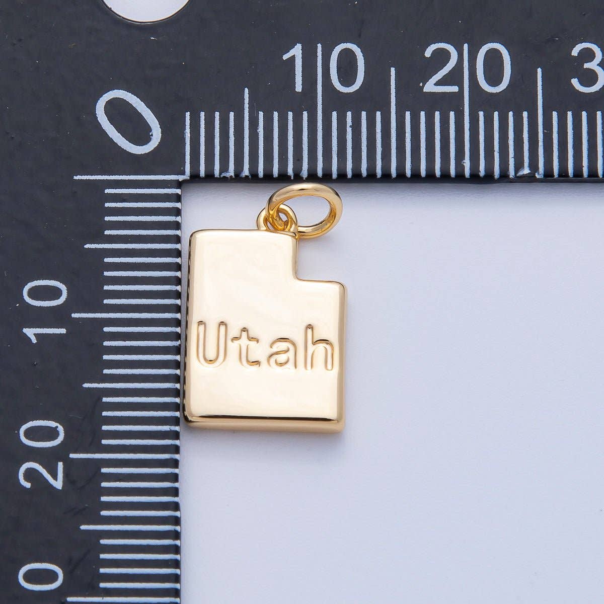 United States of America State Map Charms