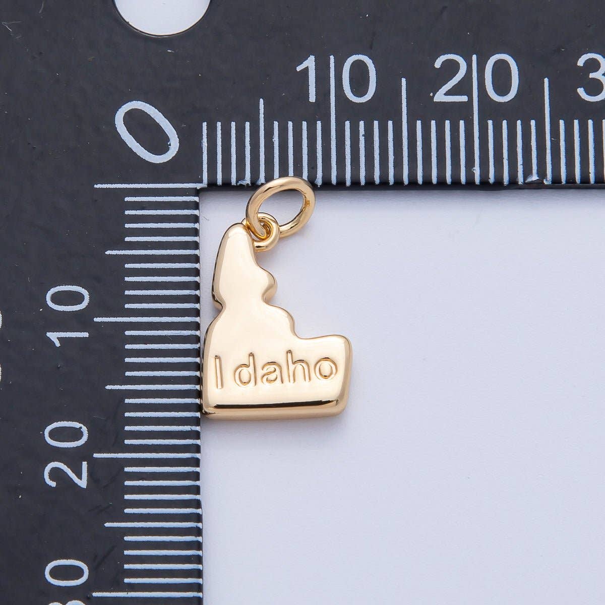 United States of America State Map Charms