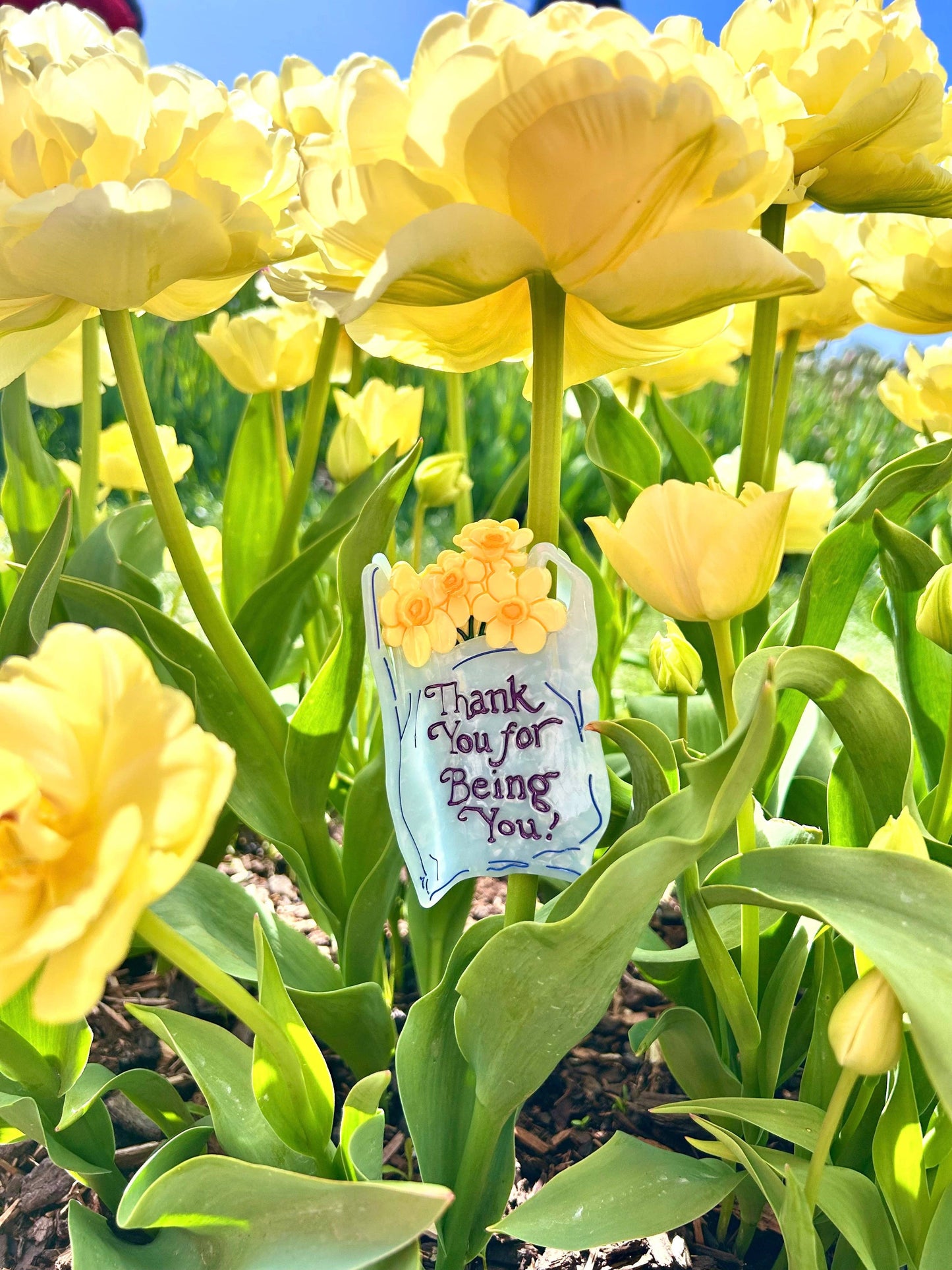 Thank You Bag Hair Claw TPF x Lindsey Cherek Waller