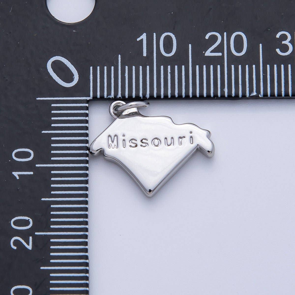 United States of America State Map Charms