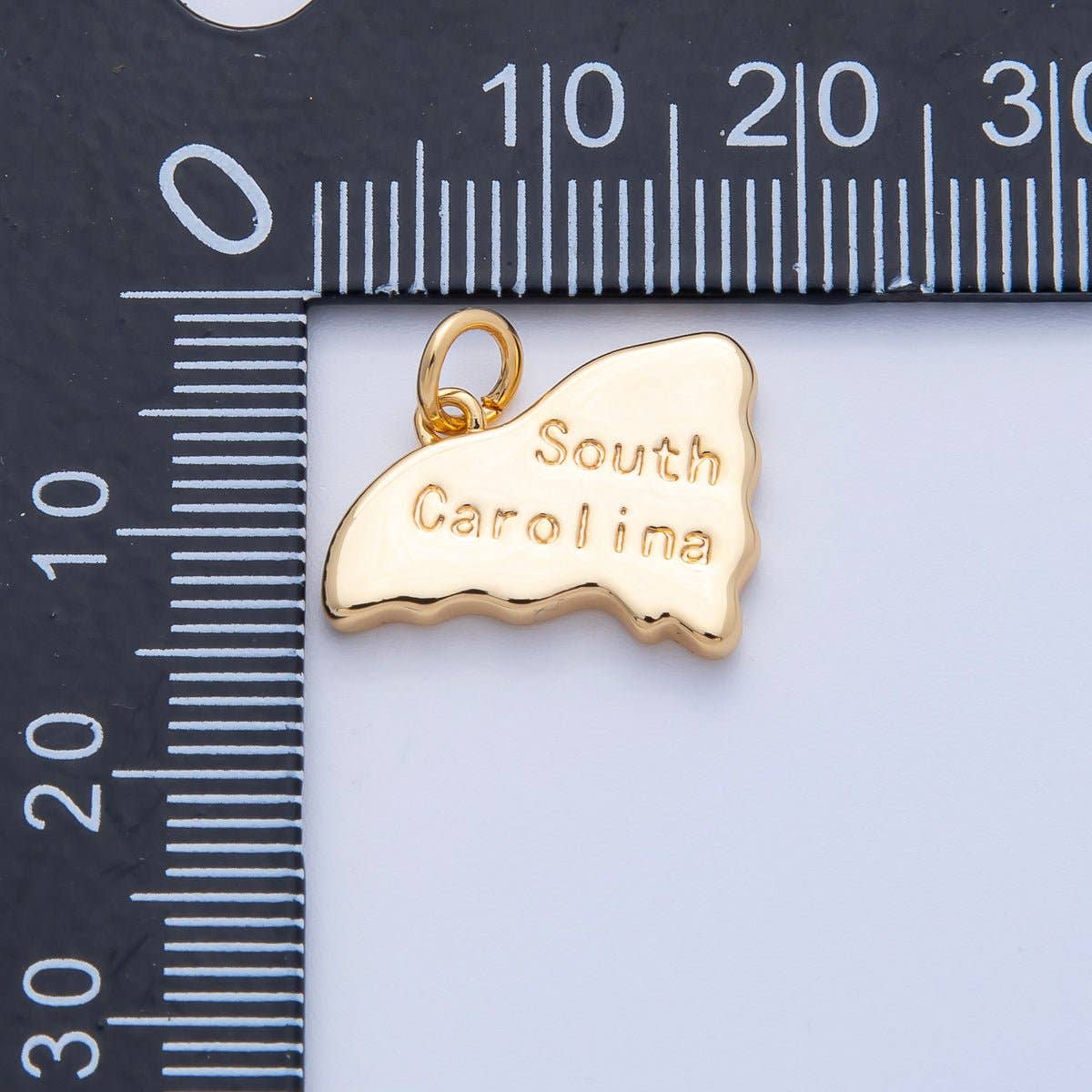 United States of America State Map Charms