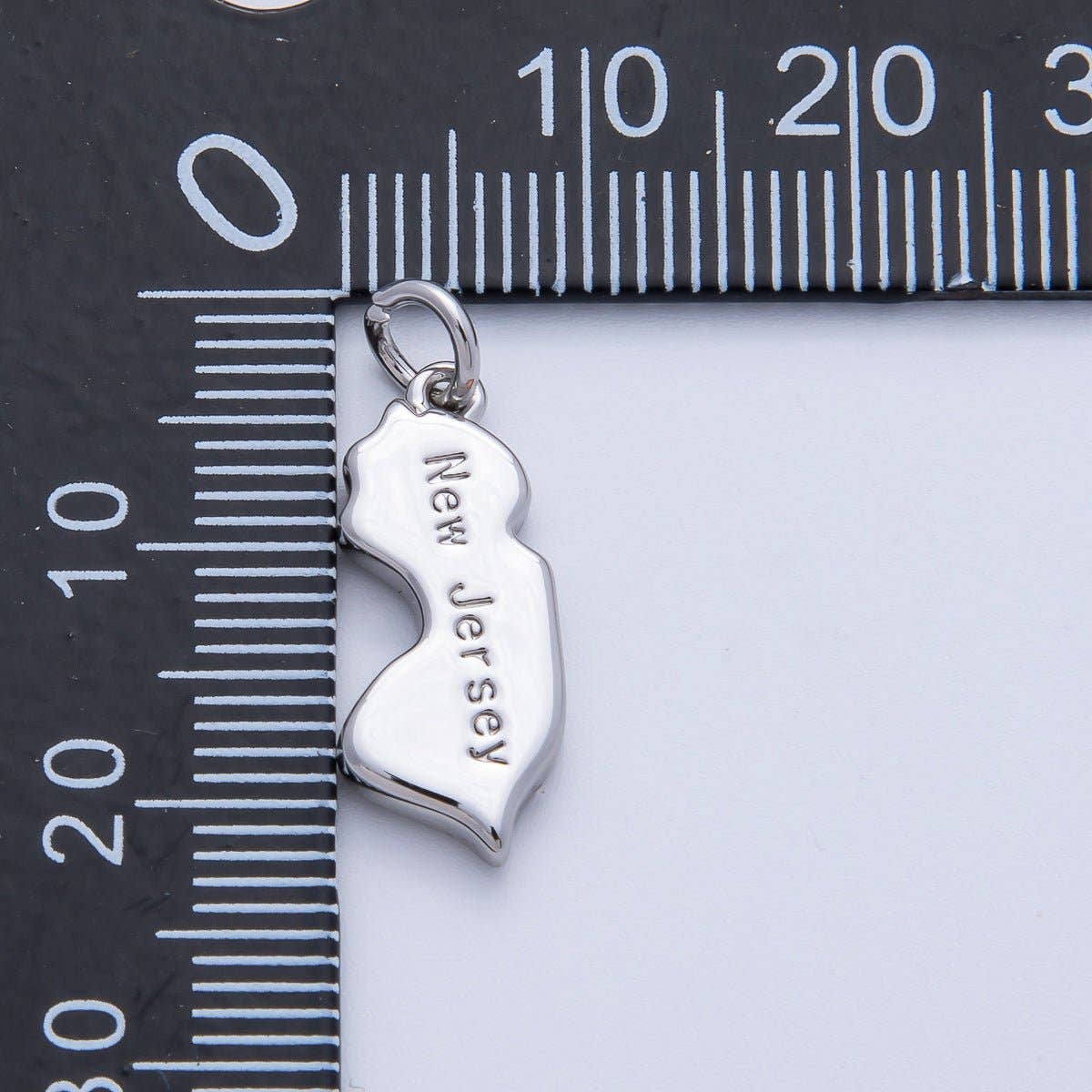 United States of America State Map Charms
