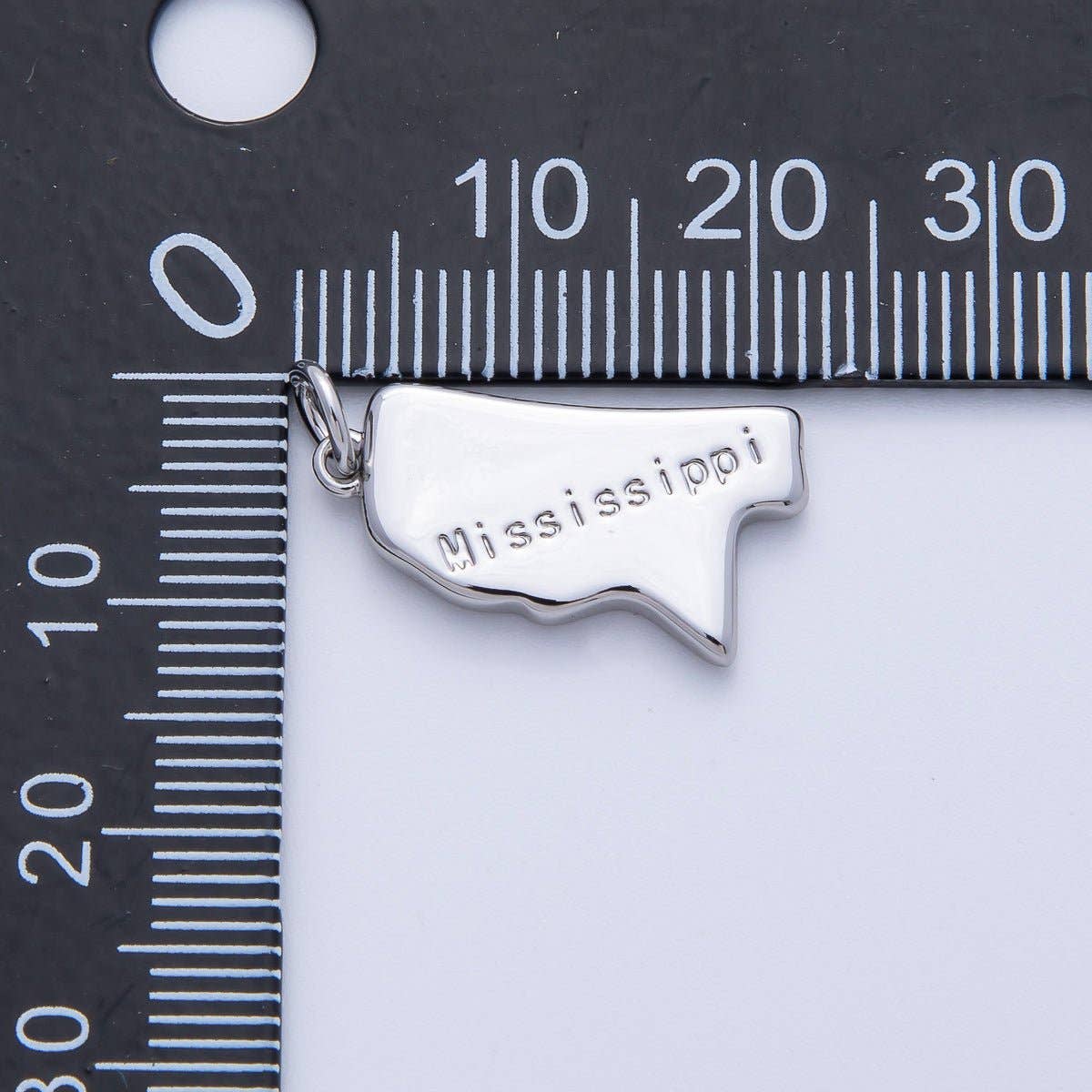 United States of America State Map Charms