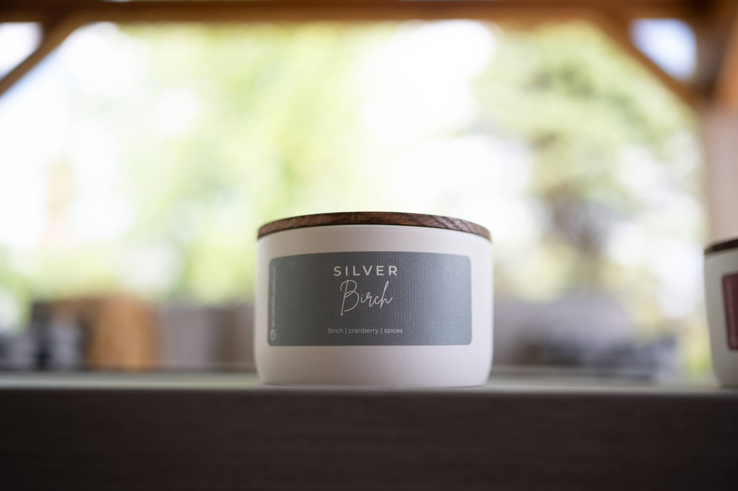 Silver Birch | 10 oz Statement Candle