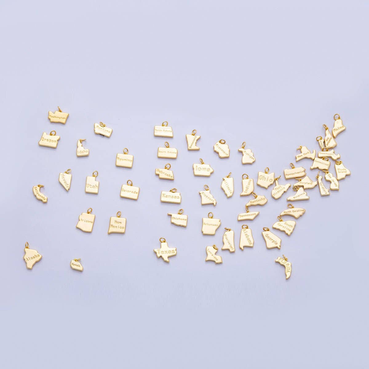 United States of America State Map Charms