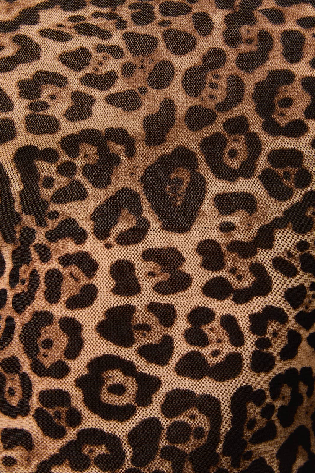 Sunday Edition | Cheetah Mock Neck Mesh Top