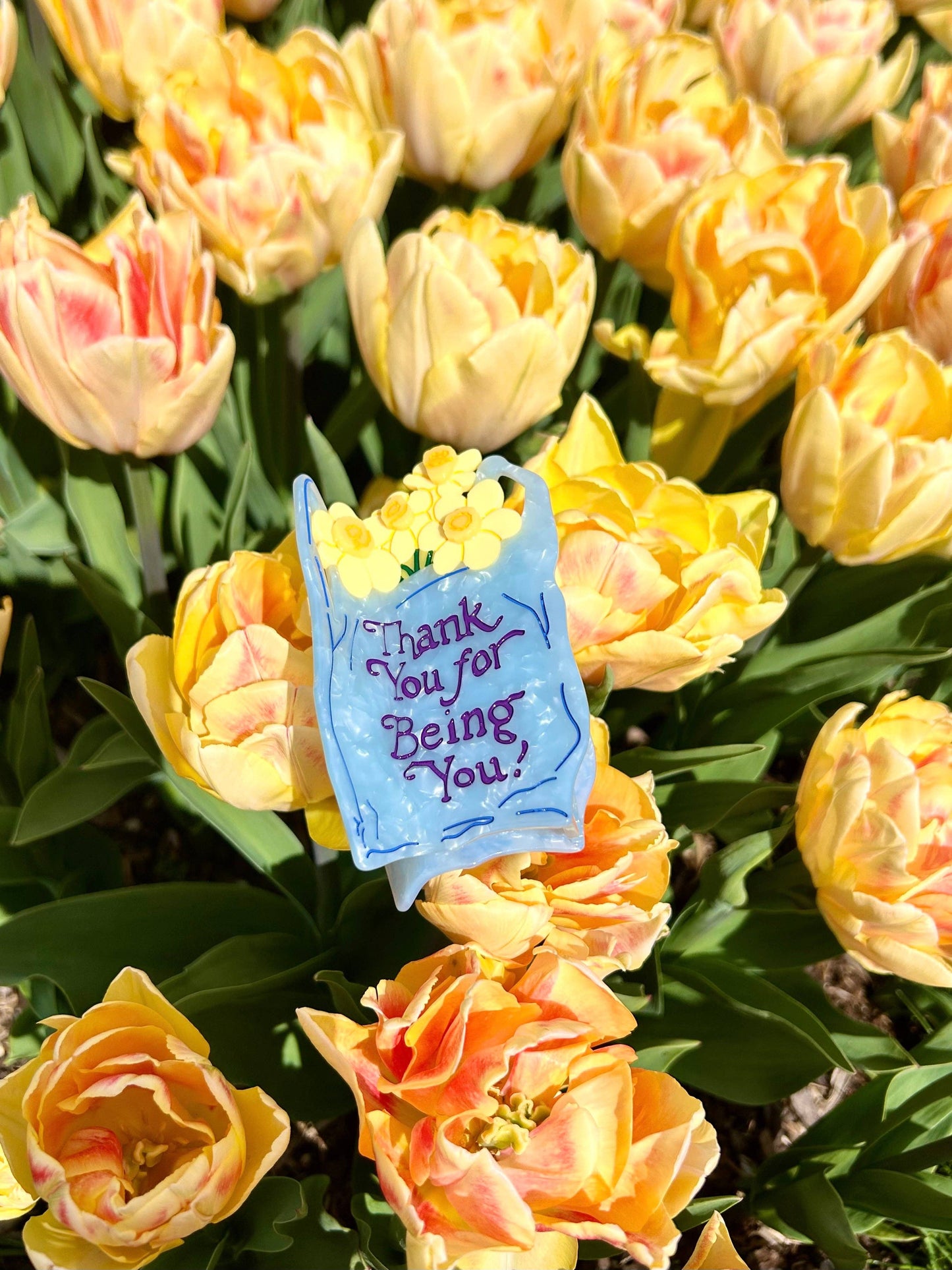 Thank You Bag Hair Claw TPF x Lindsey Cherek Waller