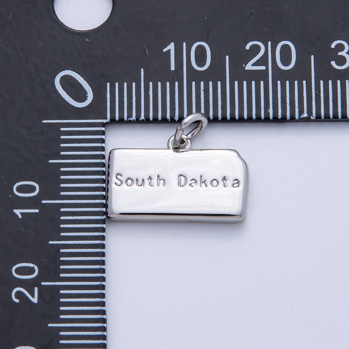 United States of America State Map Charms