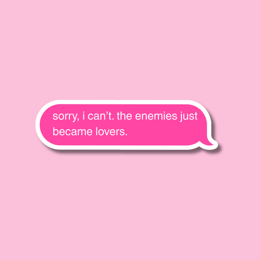 Sorry I Can't The Enemies Just Became Lovers Sticker, Book