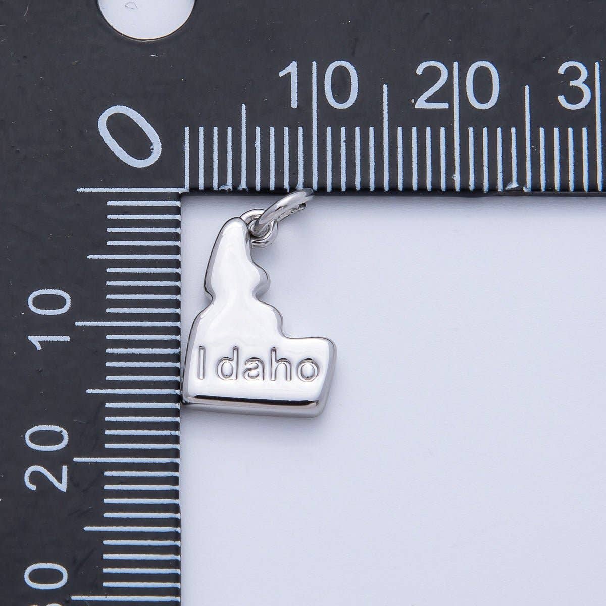 United States of America State Map Charms