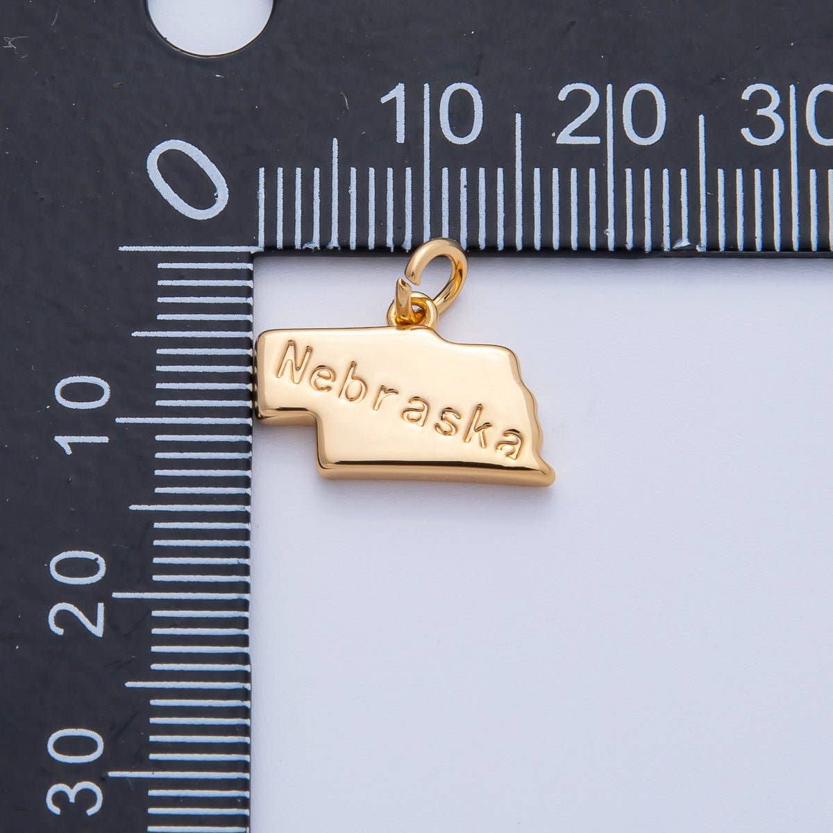 United States of America State Map Charms