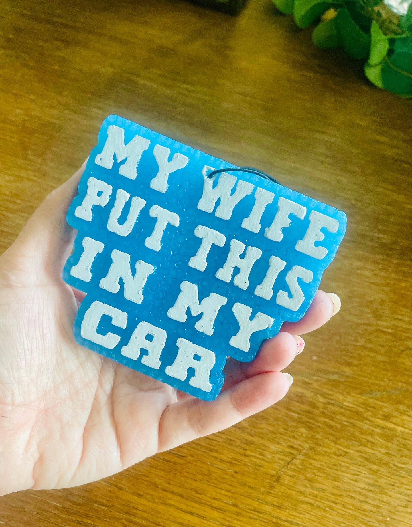 My Wife put this in my car Car Freshie