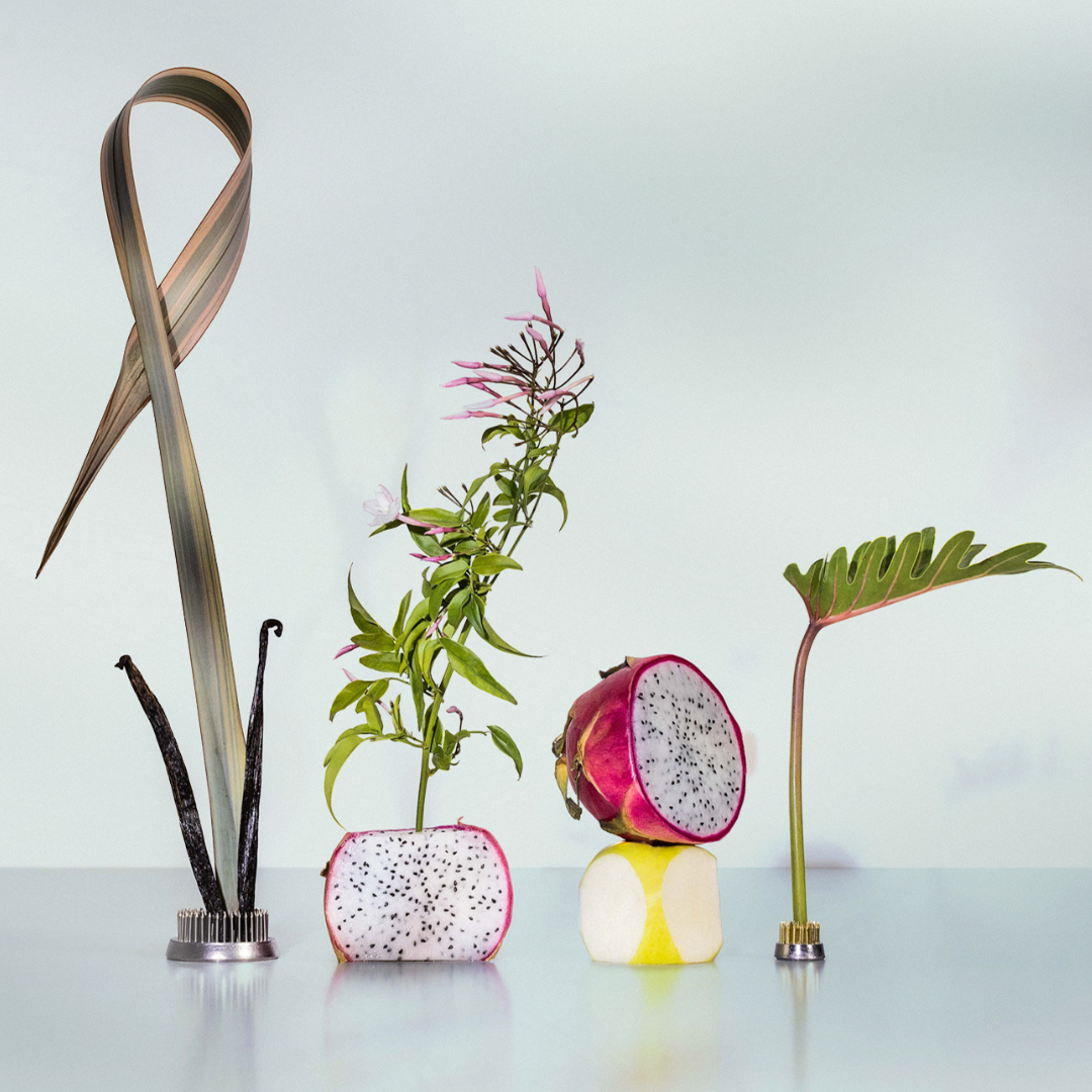 Pink Palm Mini Body Mist