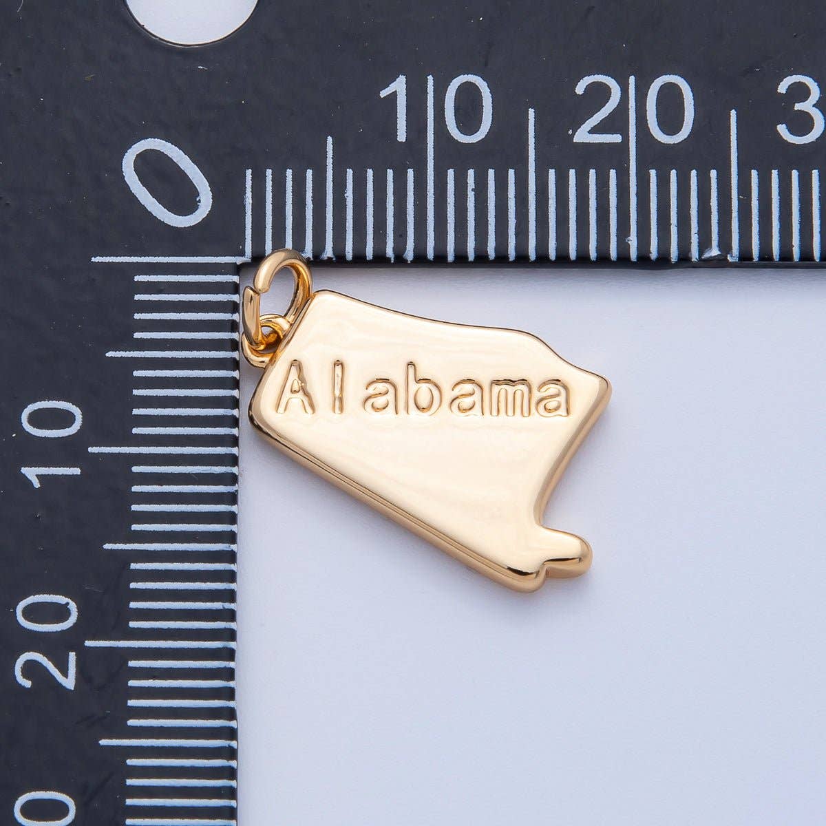 United States of America State Map Charms