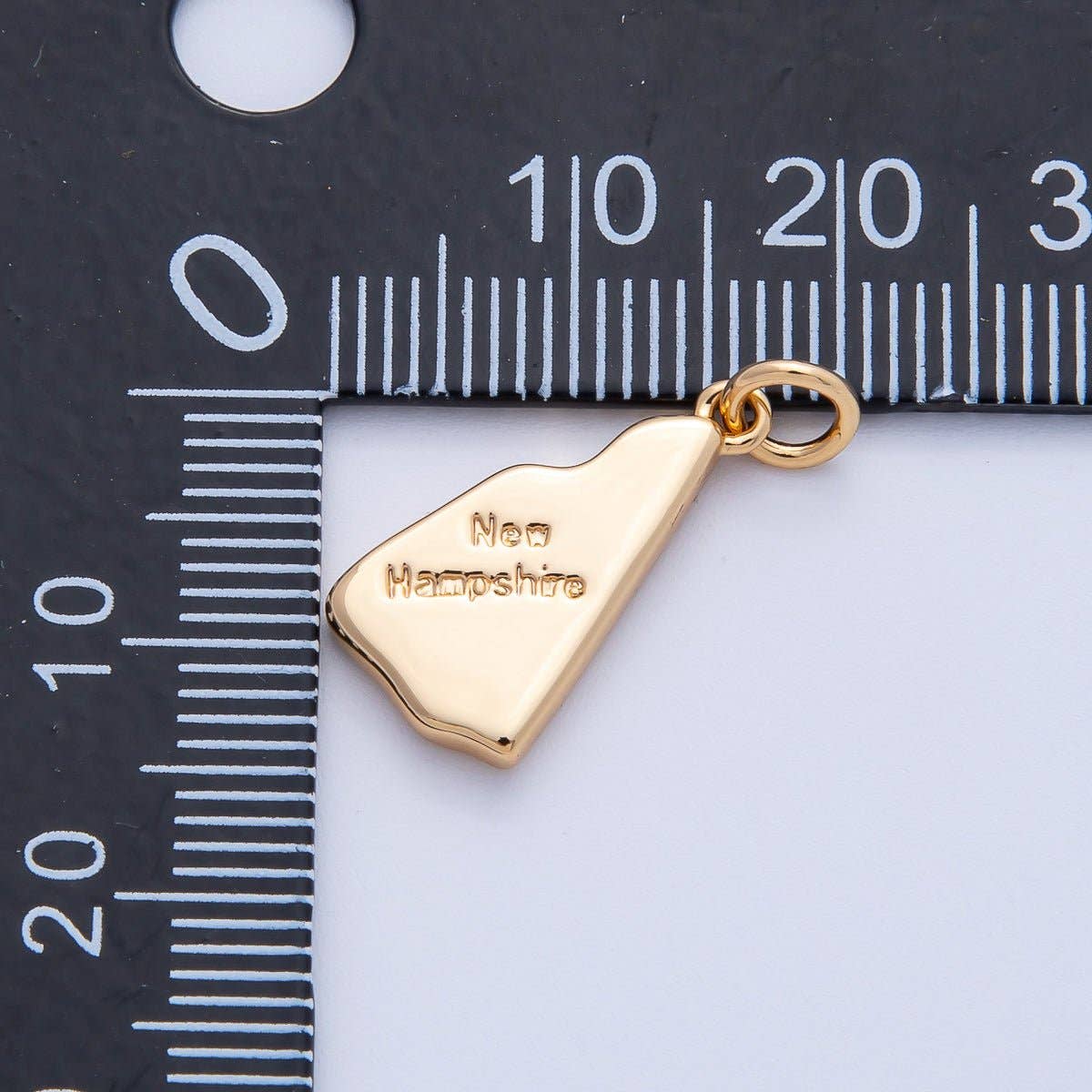 United States of America State Map Charms