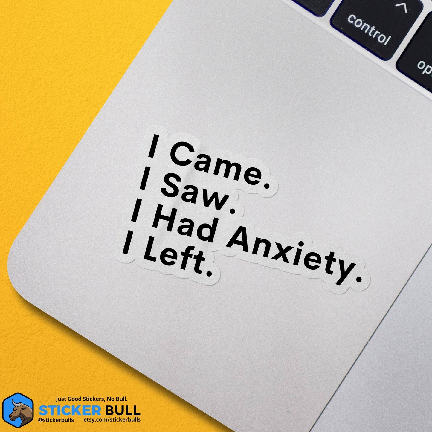 I Came, I Saw, I Had Anxiety, I Left Sticker, Funny Sticker, Meme Sticker, Vinyl Sticker for Laptop, Car Or Water Bottle, Quote Sticker