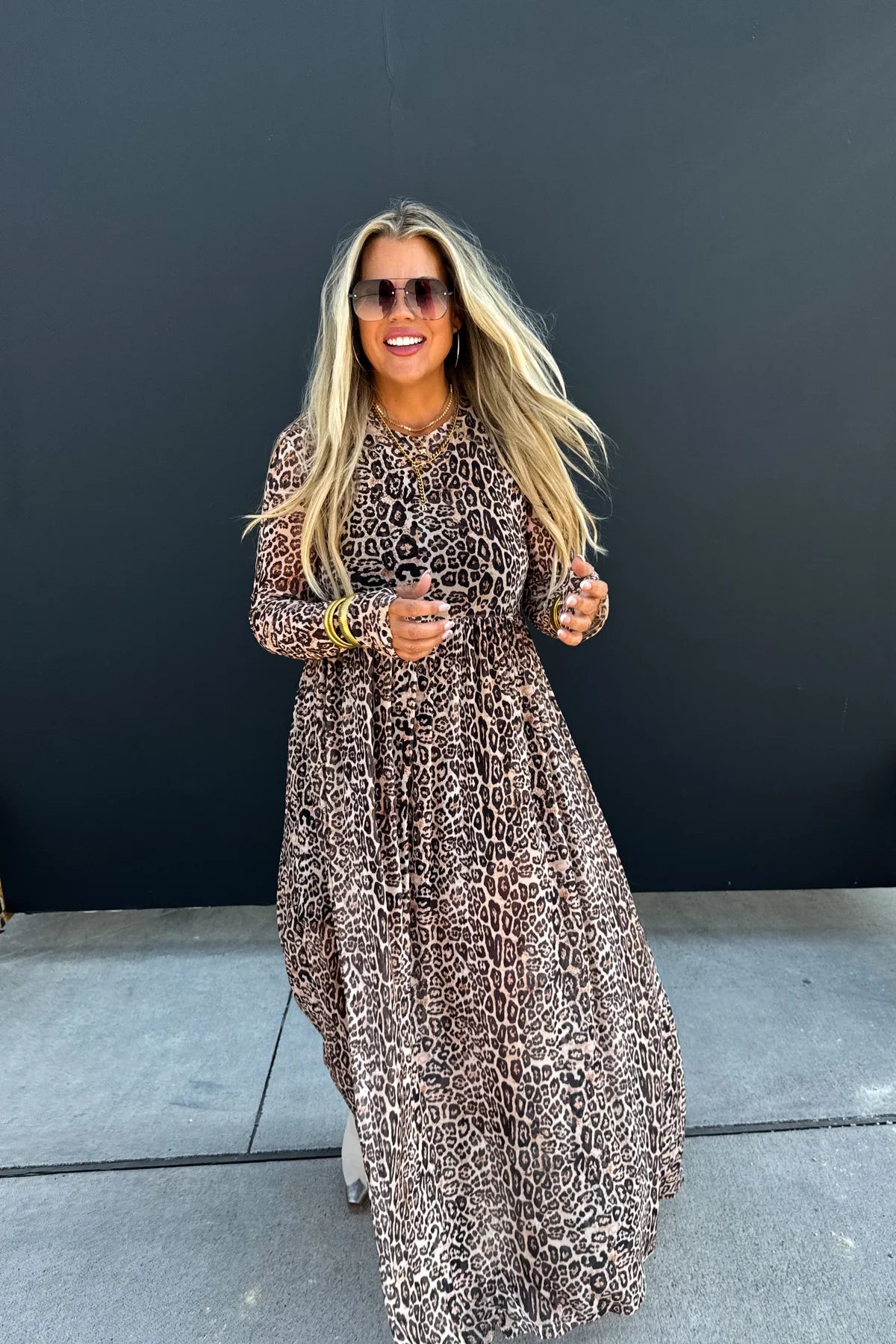 Untamed Glam Sheer Dress