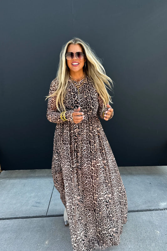 Untamed Glam Sheer Dress
