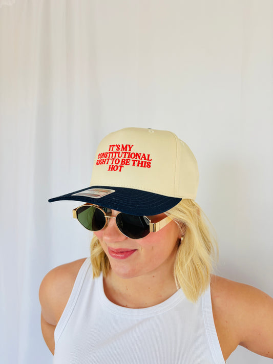 It's My Constitutional Right To Be This Hot Embroidered Hat