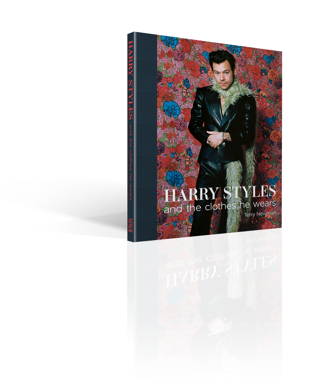 Harry Styles by Terry Newman