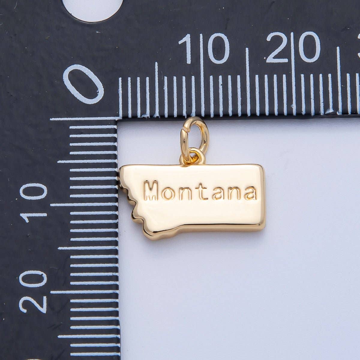 United States of America State Map Charms