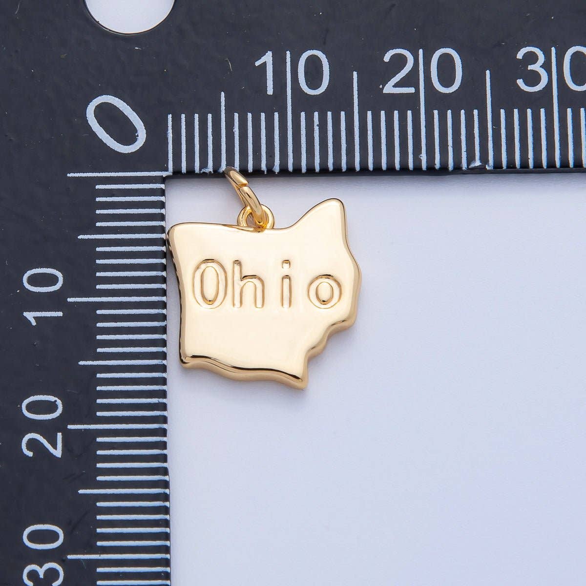 United States of America State Map Charms