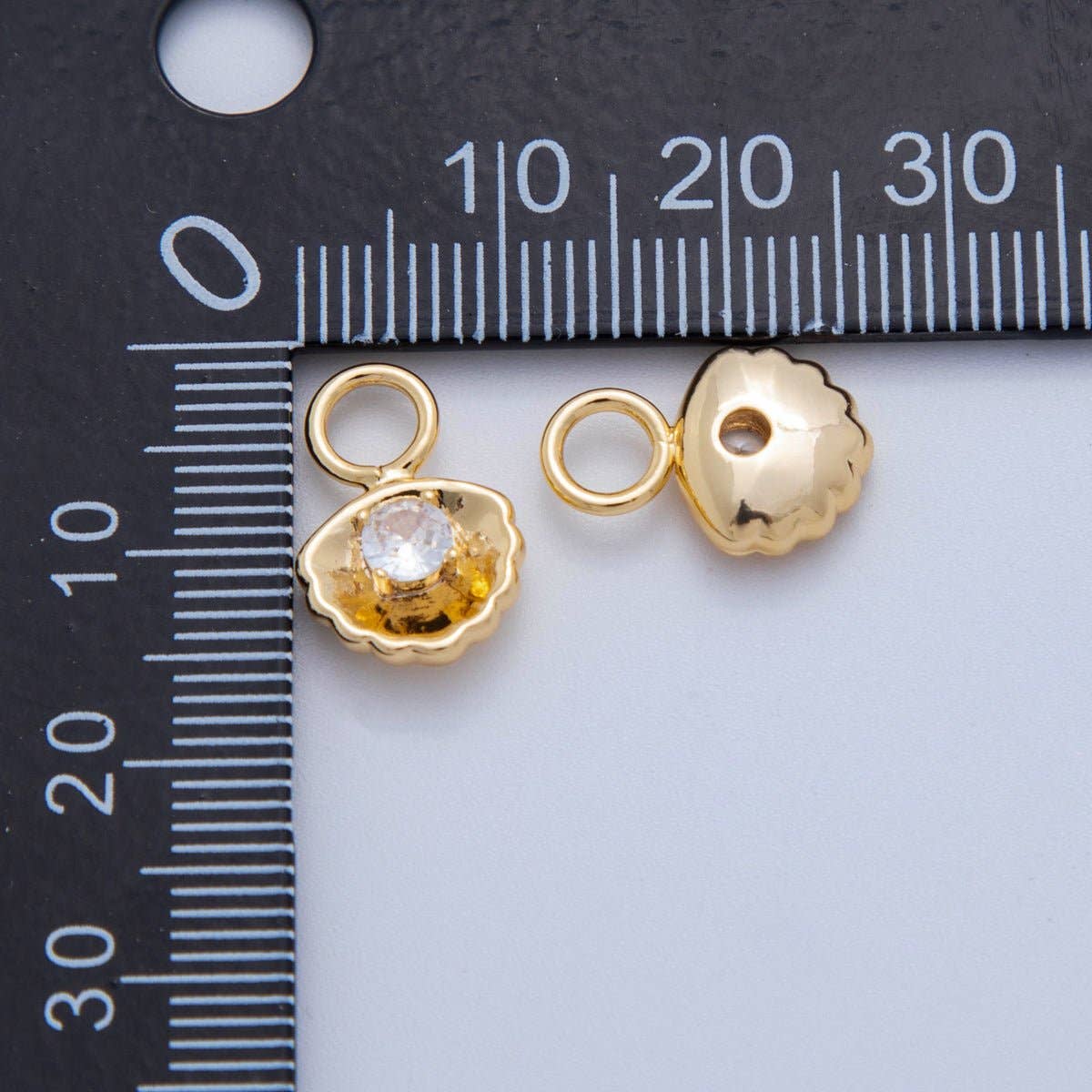 Clam Shell Charm