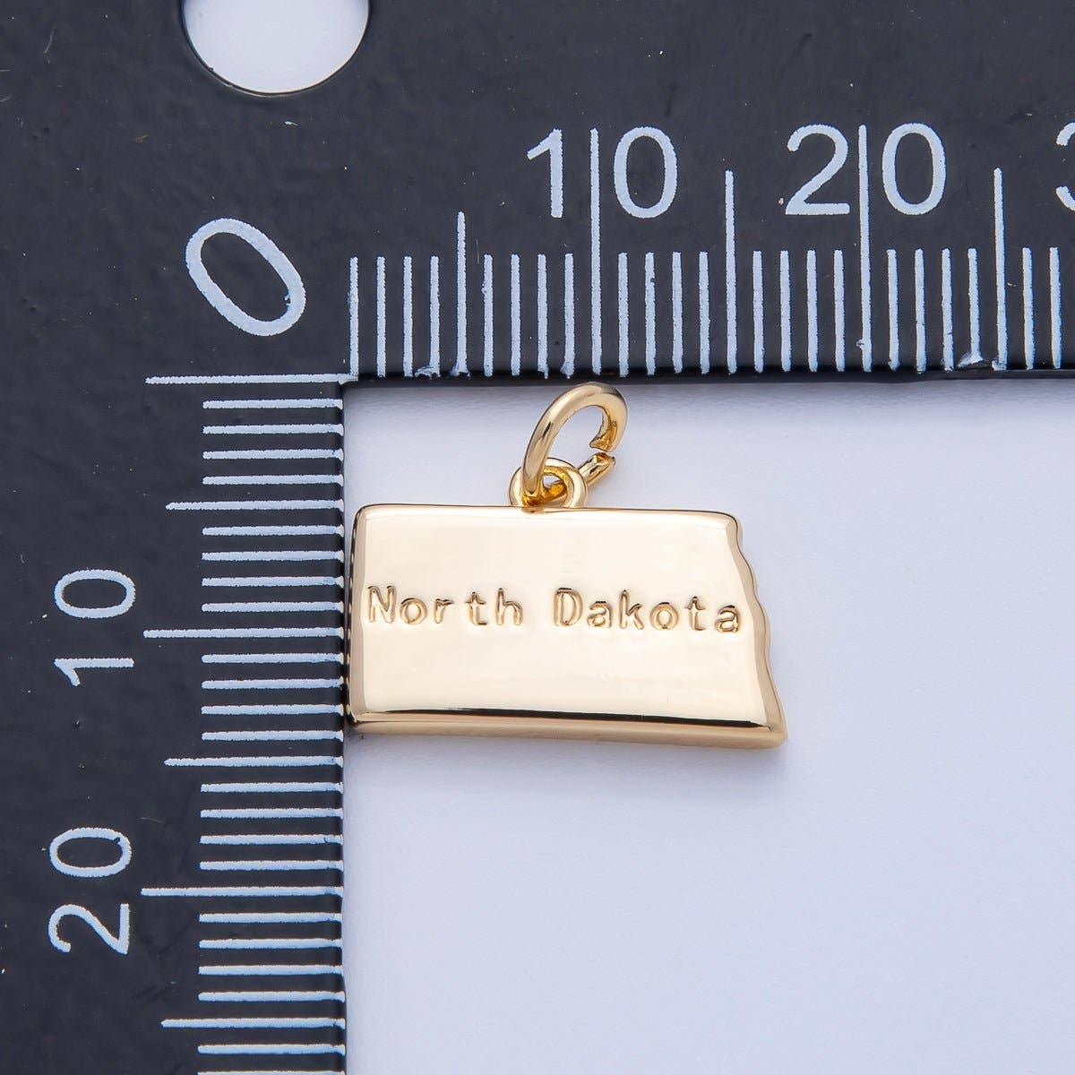 United States of America State Map Charms