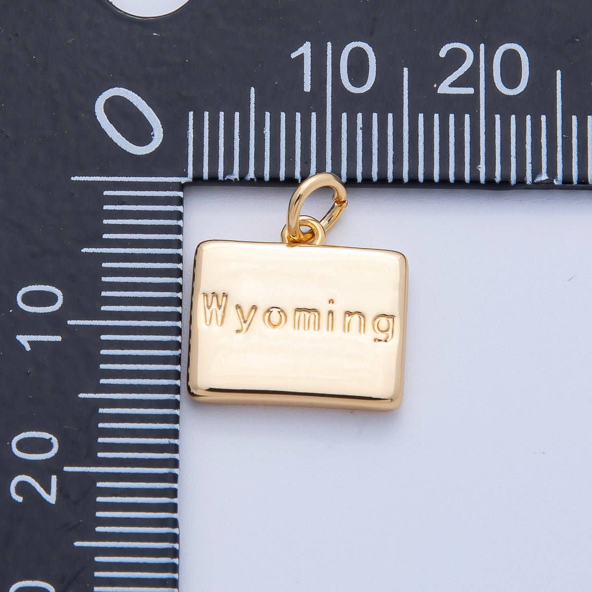 United States of America State Map Charms