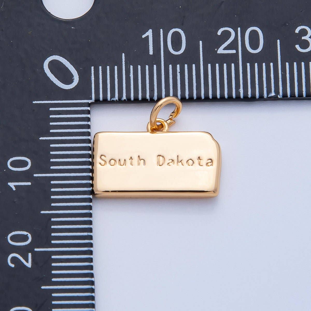 United States of America State Map Charms