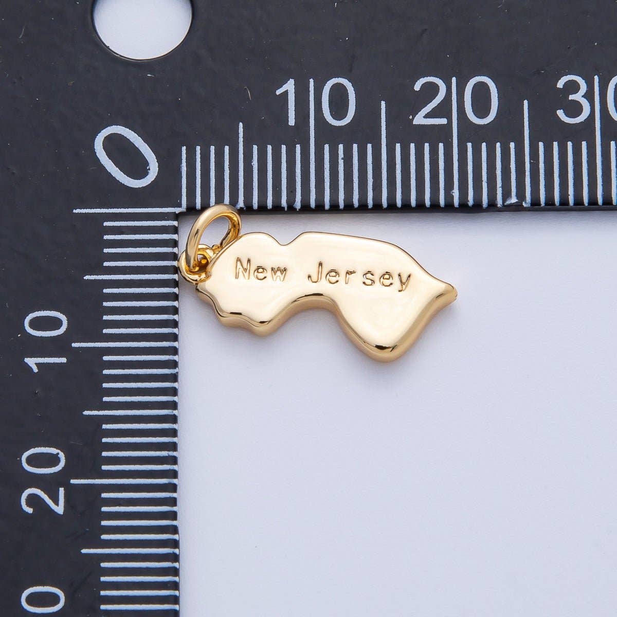 United States of America State Map Charms