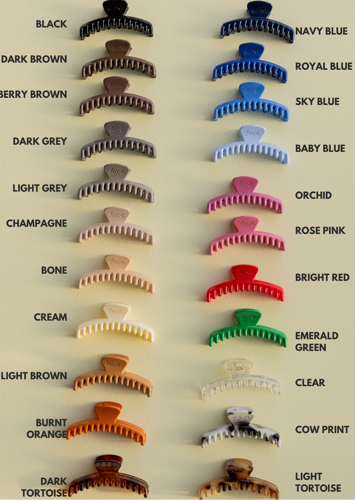 Kaxi | Shiny Mini Hold Everything Claw