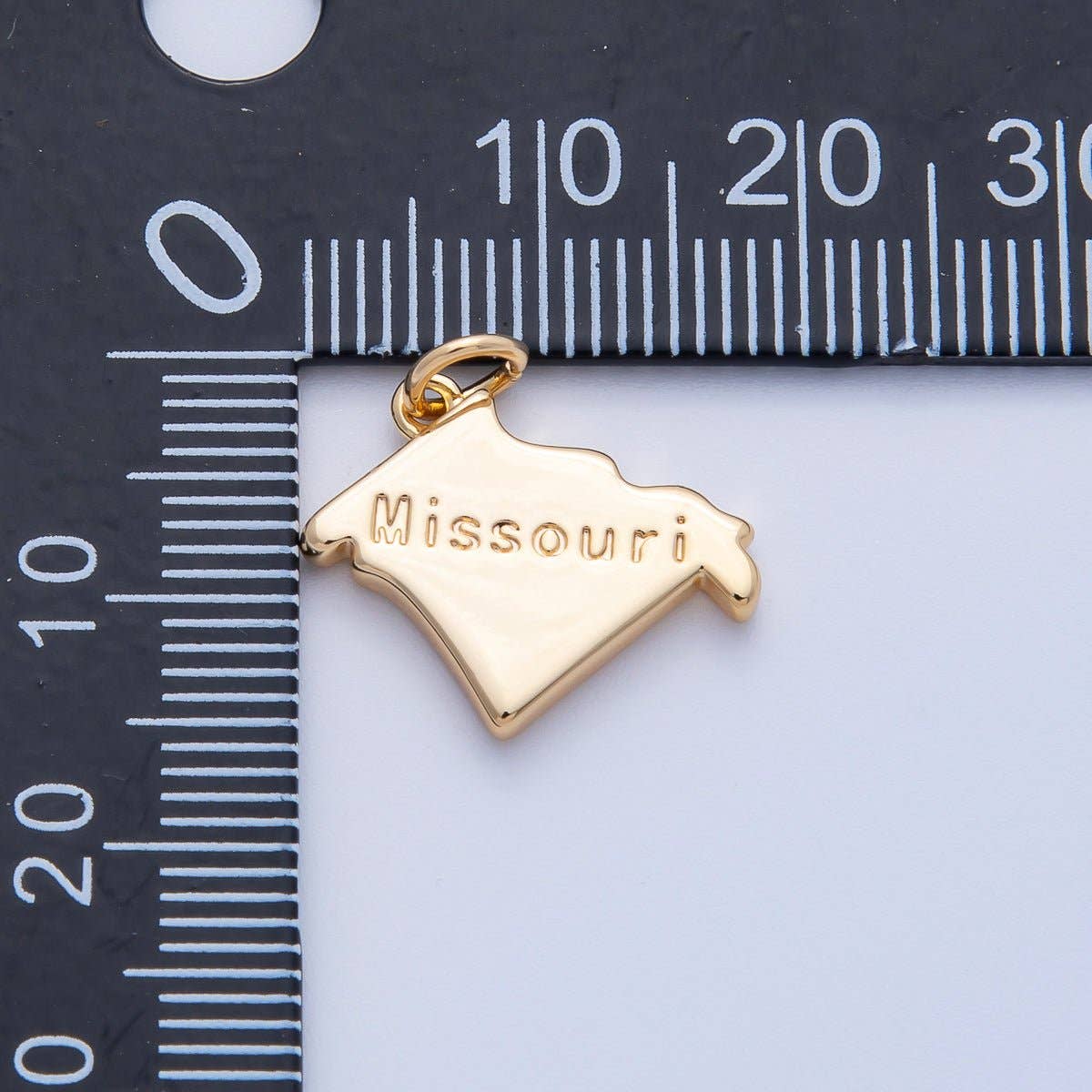 United States of America State Map Charms