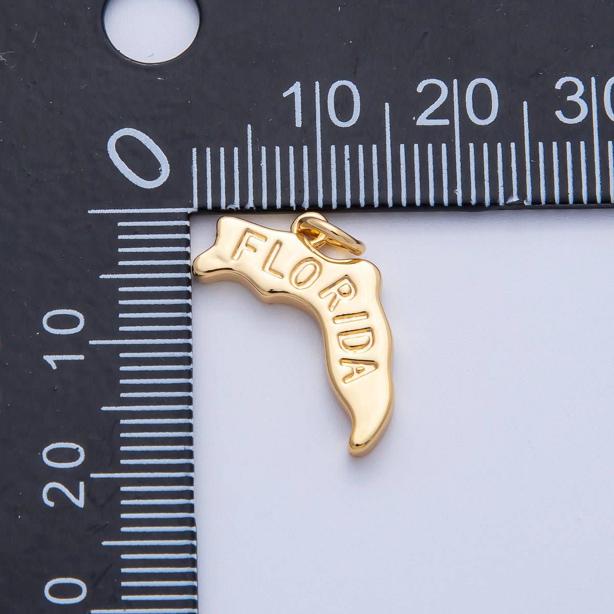United States of America State Map Charms