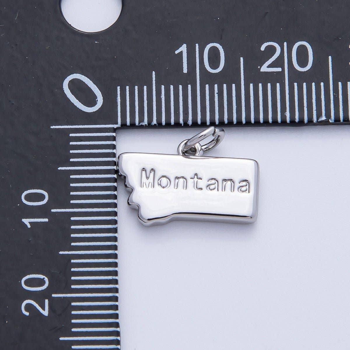 United States of America State Map Charms